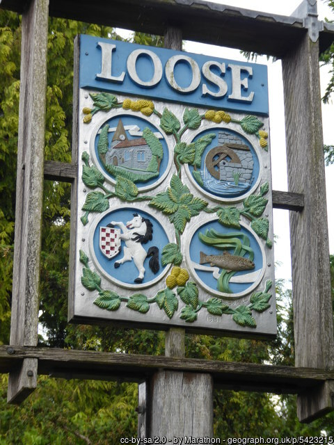 Loose Sign